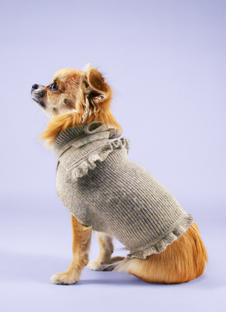 Dog Sweater with Frill