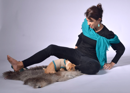 dog wrap around with velvet ribbons