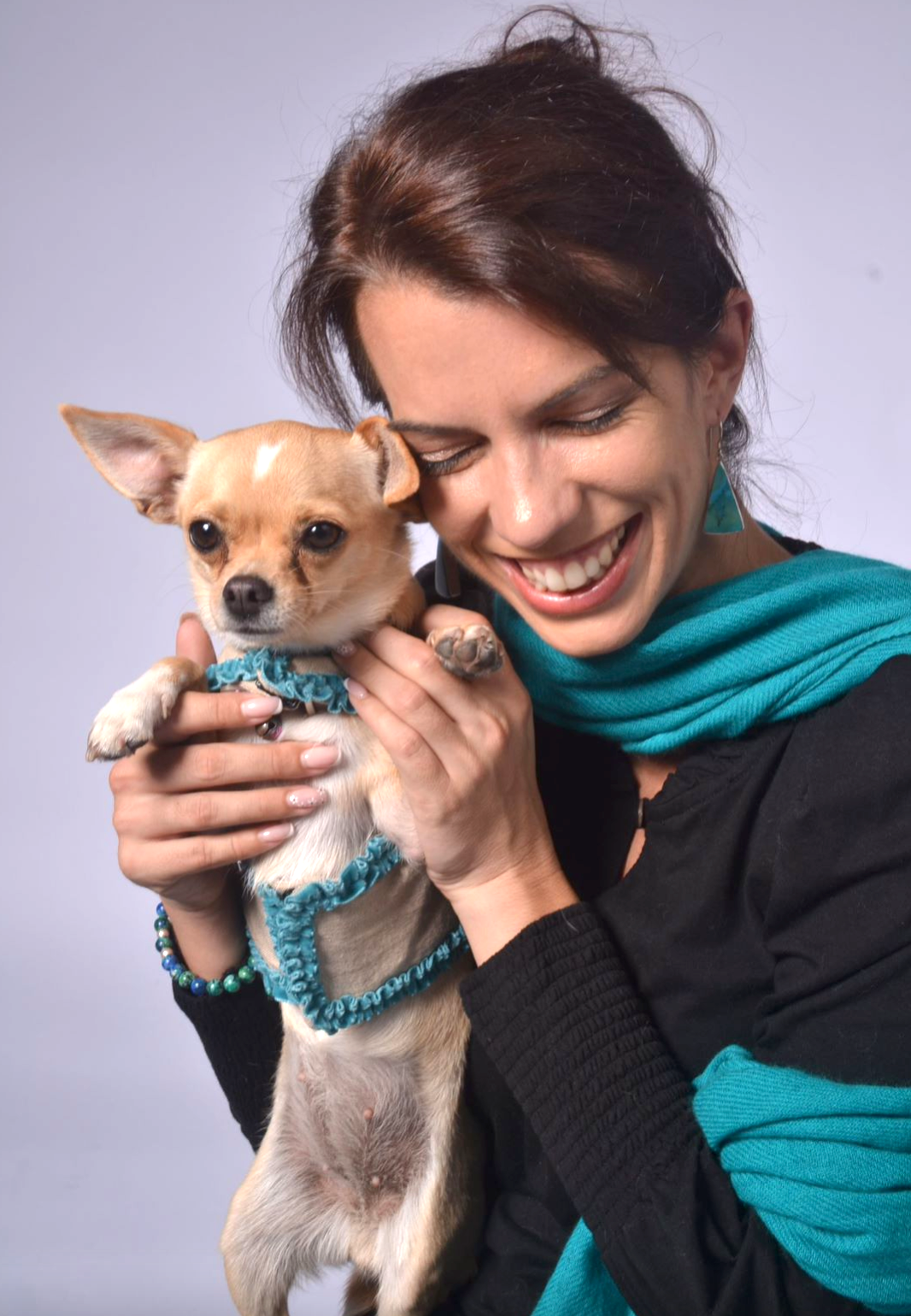 dog wrap around with velvet ribbons
