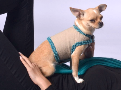 dog wrap around with velvet ribbons