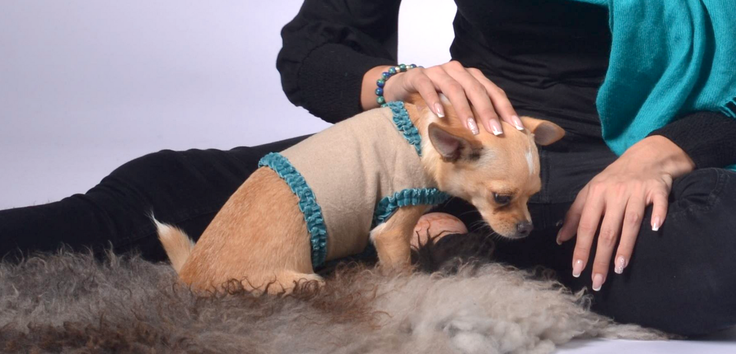 dog wrap around with velvet ribbons