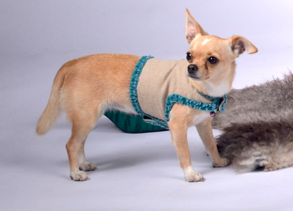 dog wrap around with velvet ribbons