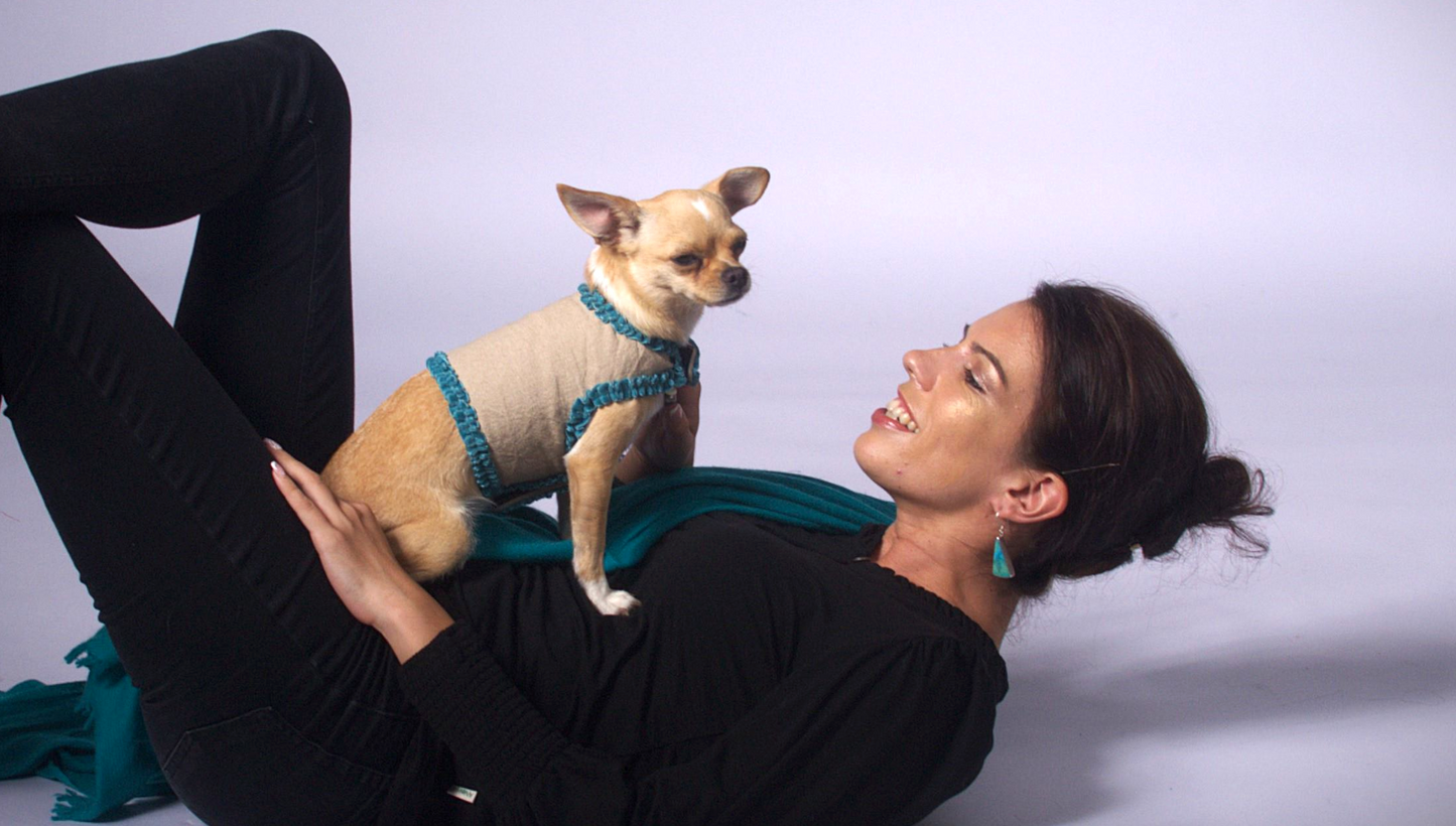 dog wrap around with velvet ribbons