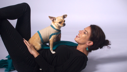 dog wrap around with velvet ribbons