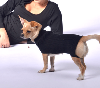 Plain and Clean Long Dog Sweater Black / XS