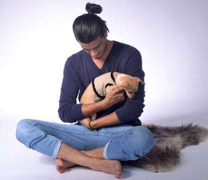 dog wrap around with velvet ribbons