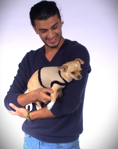 dog wrap around with velvet ribbons