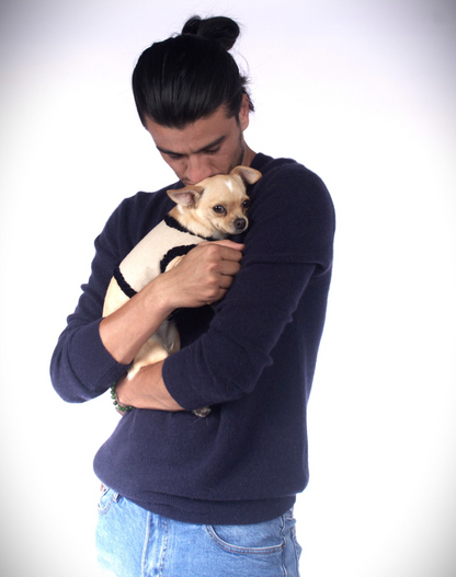 dog wrap around with velvet ribbons