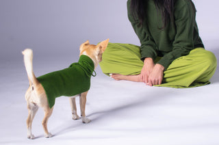 Classical Folding High Neck