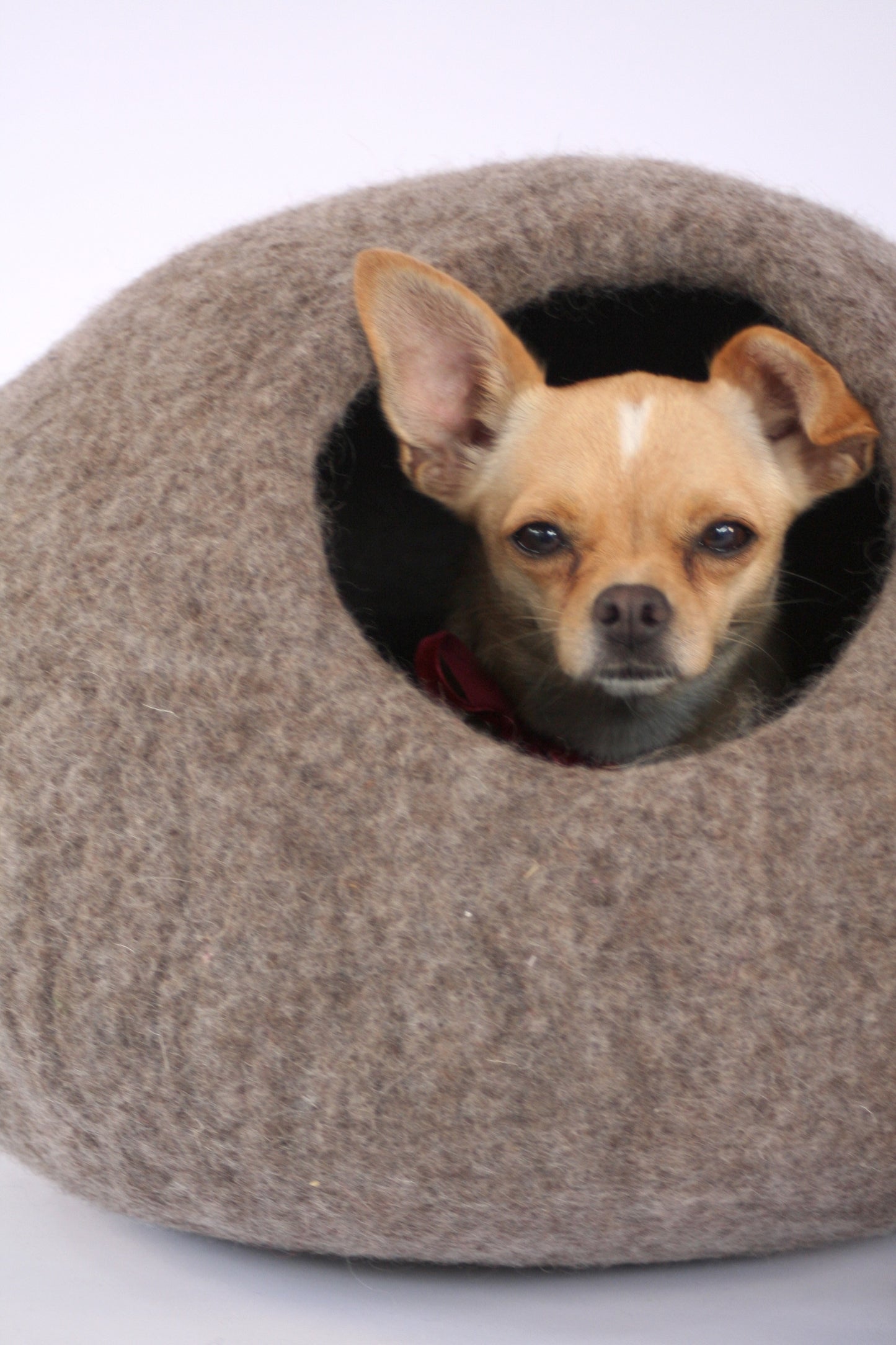 round pet cave