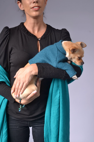 Dog Outfit