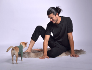 Dog Outfit