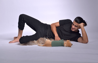 Dog Outfit