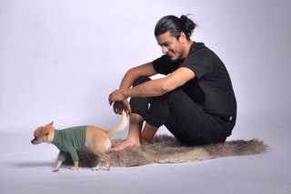 Dog Outfit