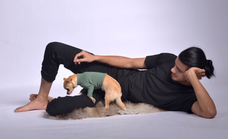 Dog Outfit