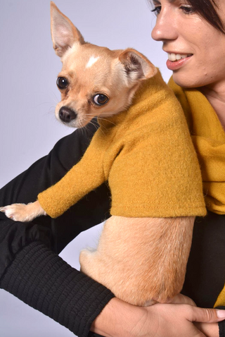 Dog Outfit
