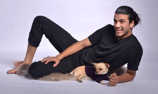 Dog Outfit