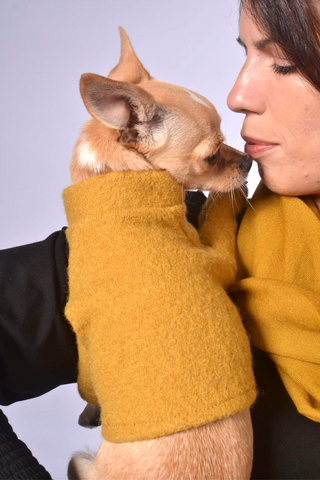 Dog Outfit