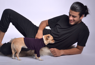 Dog Outfit