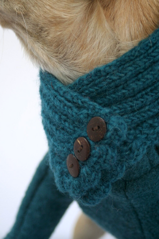 Dog Outfit