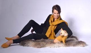 Dog Outfit
