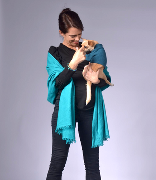 Dog Outfit