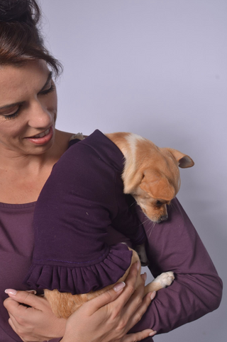 Dog Outfit with Frill Details