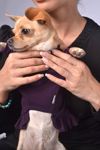 Dog Outfit with Frill Details