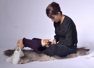 Dog Outfit with Frill Details