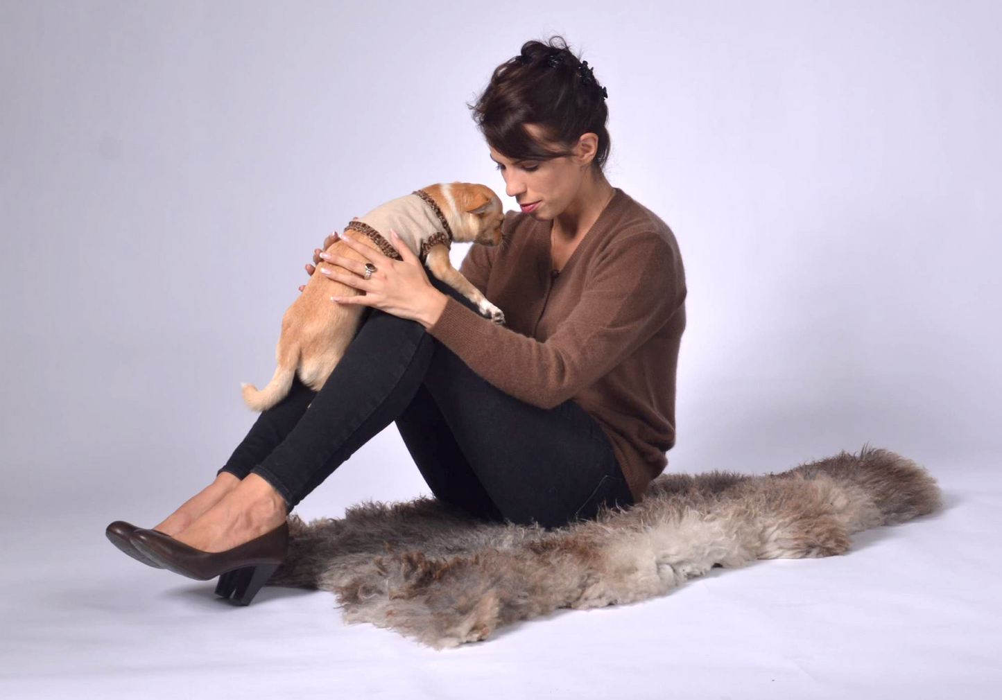 dog wrap around with velvet ribbons