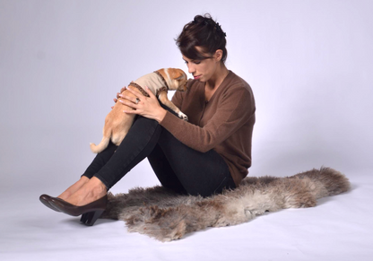 dog wrap around with velvet ribbons