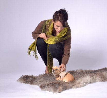 dog wrap around with velvet ribbons