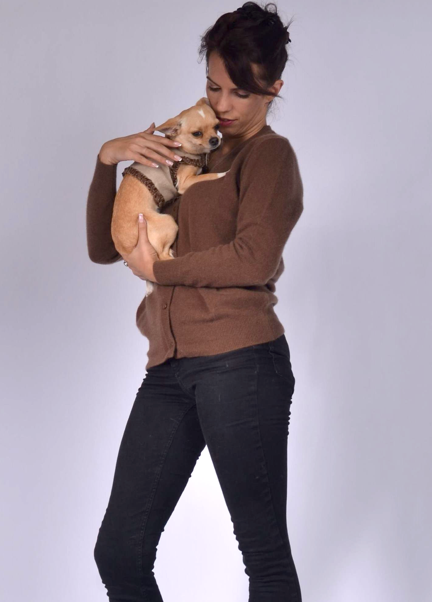 dog wrap around with velvet ribbons