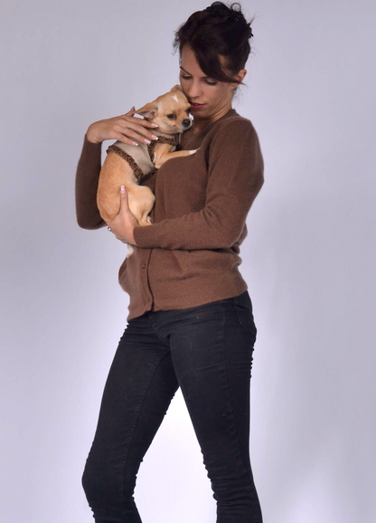 dog wrap around with velvet ribbons