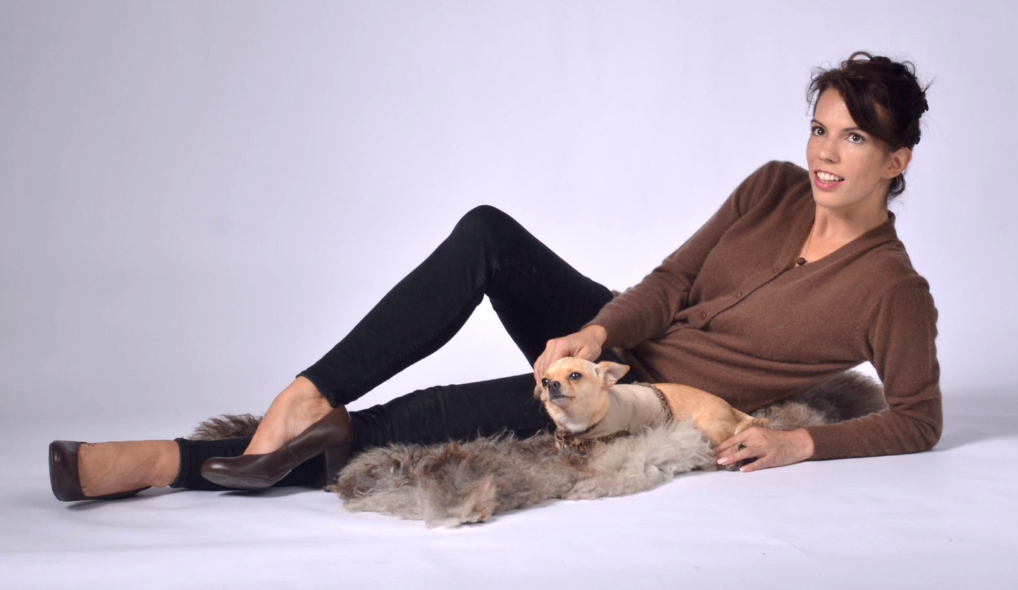 dog wrap around with velvet ribbons