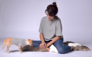 Dog Sweater with Fancy Neck Detail
