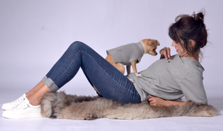 Dog Sweater with Fancy Neck Detail