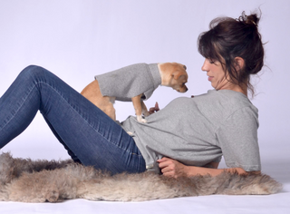 Dog Sweater with Fancy Neck Detail