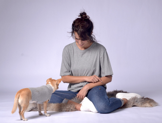 Dog Sweater with Fancy Neck Detail