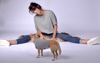 Dog Sweater with Fancy Neck Detail