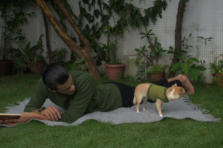 Dog Wraparound clothing