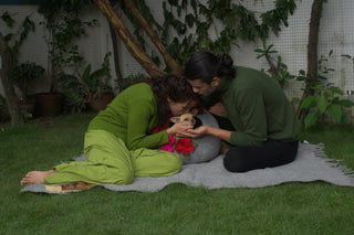 Dog Wraparound clothing