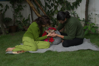 Dog Wraparound clothing