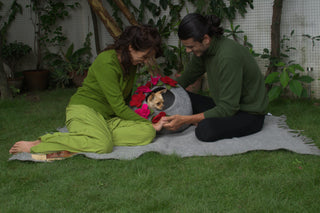 Dog Wraparound clothing