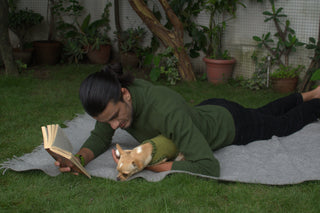 Dog Wraparound clothing