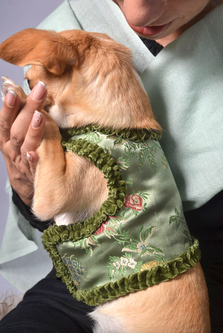 Dog Wraparound with Elegant Velvet Ribbon Details