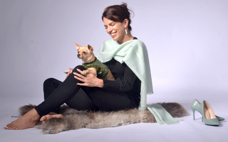Dog Wraparound with Elegant Velvet Ribbon Details