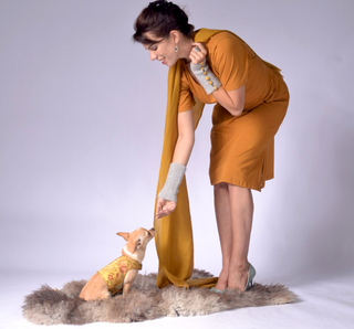 Dog Wraparound with Golden Silk Brokade