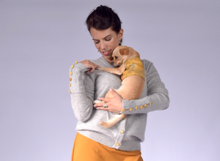 Dog Wraparound with Golden Silk Brokade