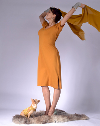 Dog Wraparound with Golden Silk Brokade